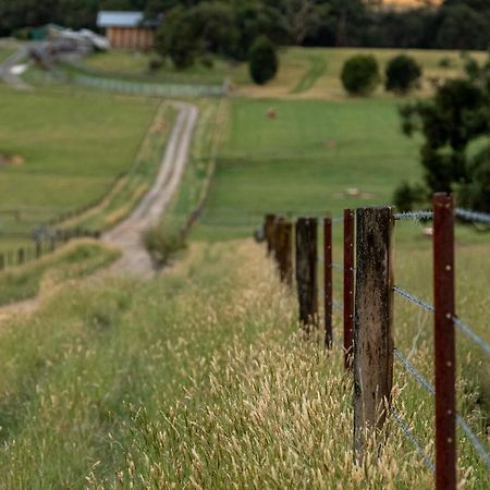 Langbrook Cottages Yarra Junction Εξωτερικό φωτογραφία